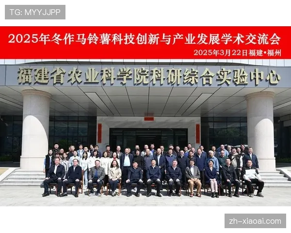 德甲球员兼顾学业与赛场 展现职业与学术并进新风貌