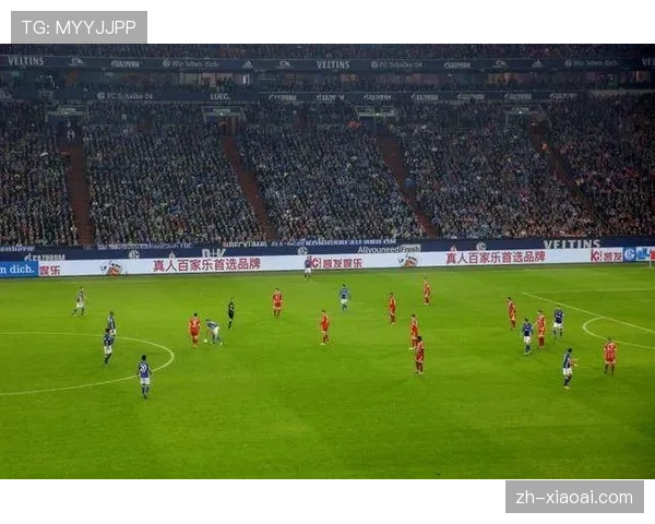 德甲引入半自动越位技术,裁判培训密集进行 德甲引入半自动越位技术,裁判培训密集进行