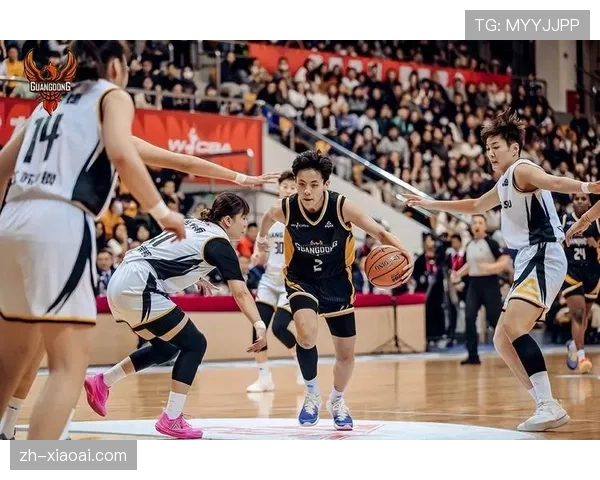 明尼苏达山猫最后时刻完成逆转,科利尔表现全面