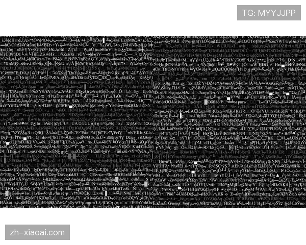 体育赛事官方平台成为自媒体视频素材权威来源